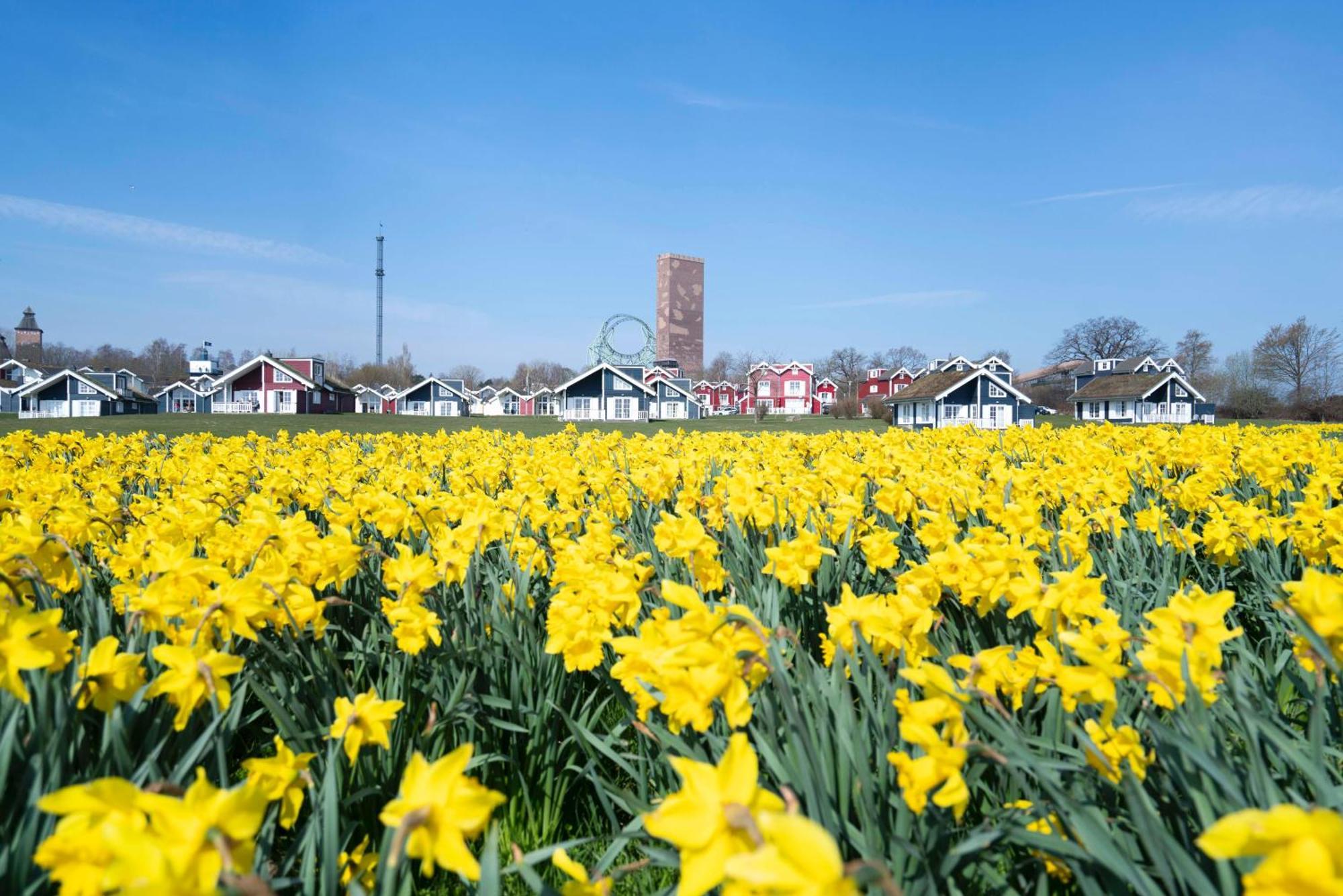 Strandpark Sierksdorf H087 Zewnętrze zdjęcie